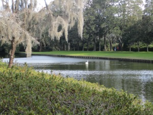The beautiful gardens of the Middleton Place plantation